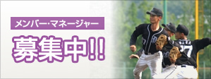 メンバー・マネージャー募集中